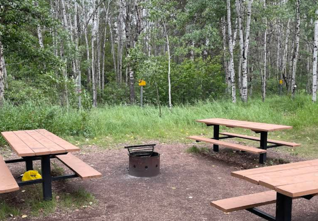 Picture of a Picnic Bench in Shannon Terrace